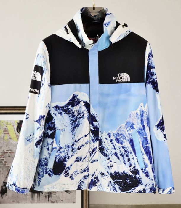 Doudoune The North Face x Supreme [X. 6]