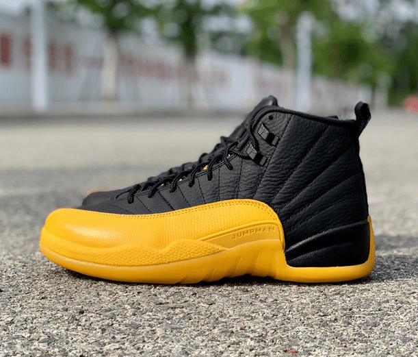 Air Jordan 12 [M. 5]