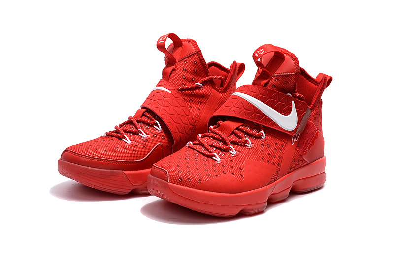 LEBRON 14 [M. 3]