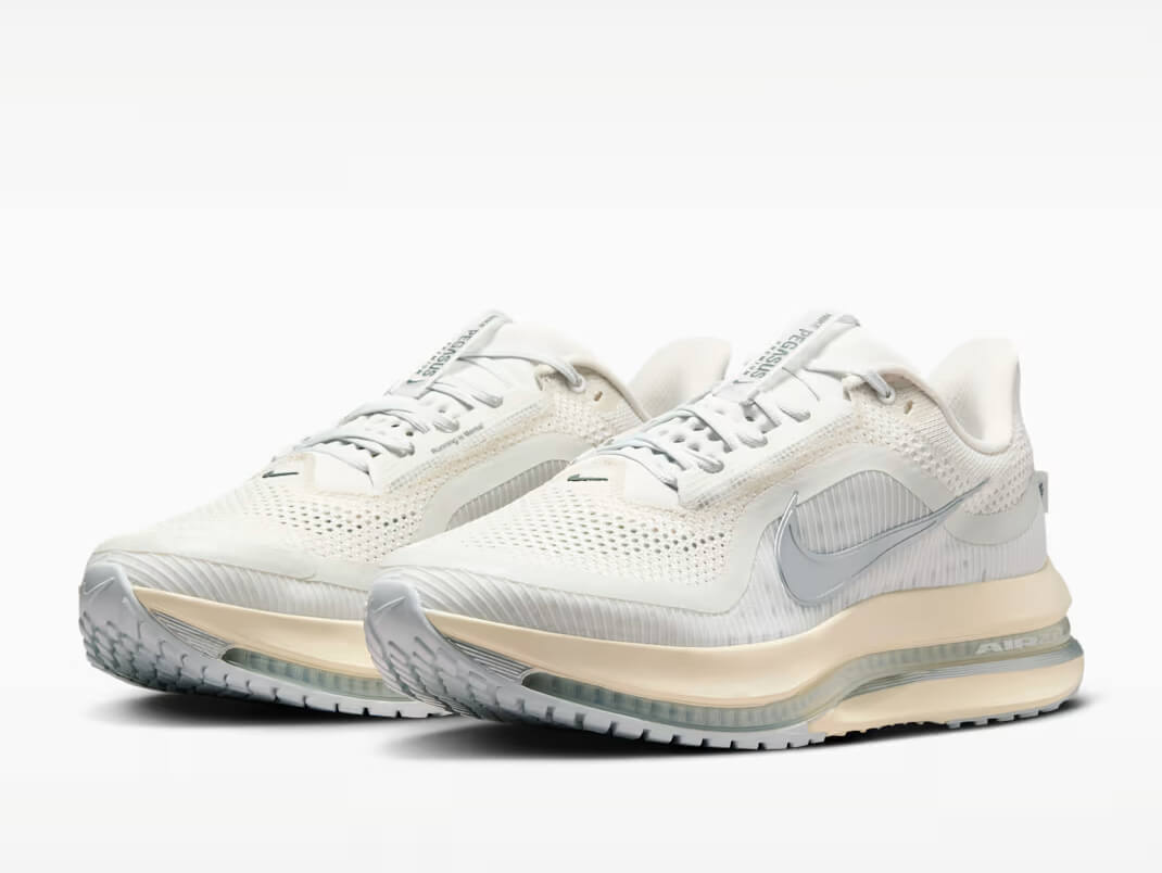 Nike Air Zoom Pegasus Premium [X. 10]