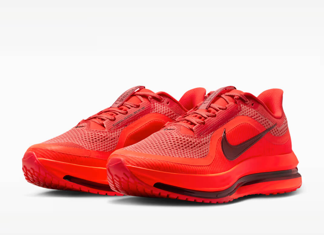 Nike Air Zoom Pegasus Premium [X. 4]