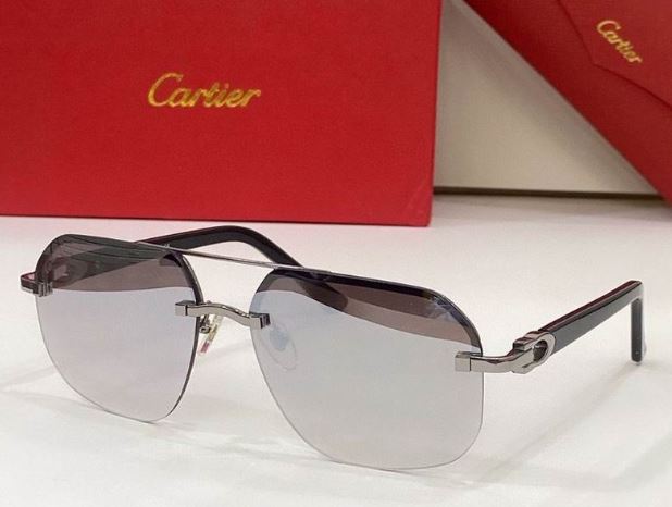 Lunettes Cartier [M. 14]