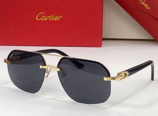 Lunettes Cartier [M. 17]